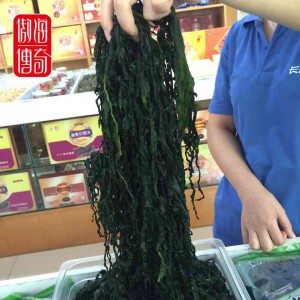 Undaria pinnatifida pickled seaweed wild seaweed