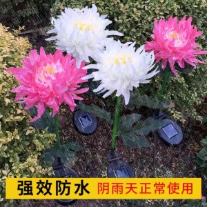 Outdoor solar chrysanthemum lamp, LED lawn lamp