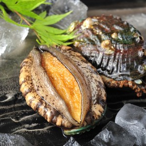 Frozen seafood and shellfish, 10 large abalone, 10 PCS