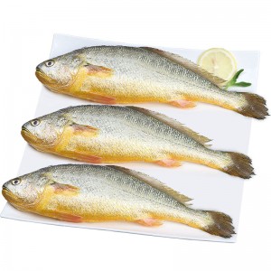Замороженные морепродукты, замороженная большая жёлтая рыба, 1,5 кг на 0,5 кг
