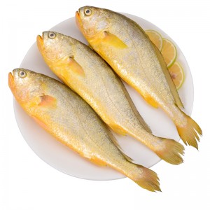 Замороженные морепродукты, замороженная большая жёлтая рыба, 1,5 кг на 0,5 кг