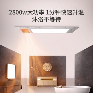 浴室卫生间风暖浴霸 集成吊顶式照明吸顶灯