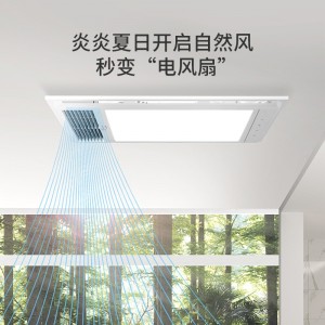 Bathroom bathroom wind warm bath master integrated ceiling lighting ceiling lamp