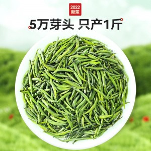 雀舌茶叶绿茶 2023春茶新茶浓茶