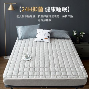 Tatami mattress mattress four seasons breathable cushion foldable double
