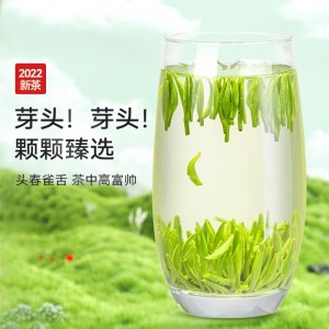 雀舌茶叶绿茶 2023春茶新茶浓茶