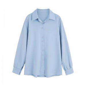 Women&#039;s blouses. Chiffon shirt. The female long sleeves. Professional shirt