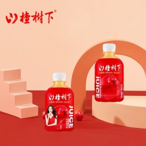 山楂果汁果肉飲料350mlx15瓶整箱裝新鮮日期