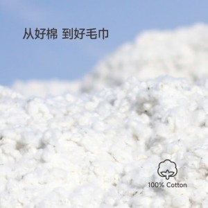 3A antibacterial 100% cotton Xinjiang long staple cotton facial towel