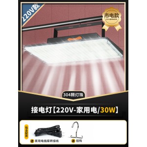 接電燈【220V家用電專用】30W