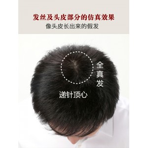 Full head style middle and old aged short hair covers white hair, bald head, really breathable