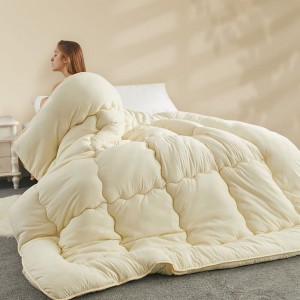 Autumn and winter single student thickened comfortable warm quilt core all the year round