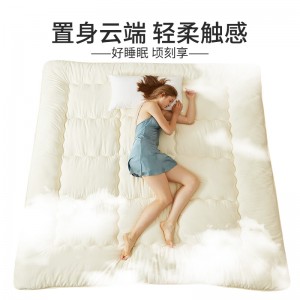Autumn and winter single student thickened comfortable warm quilt core all the year round