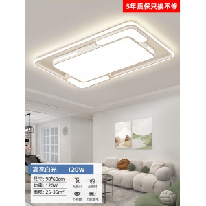 横线水母90*60白光120W
