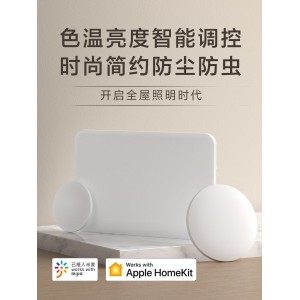 吸顶灯 简约现代 卧室 客厅 过道 阳台 智能LED
