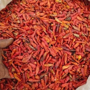 Dried Nigeria Pepper