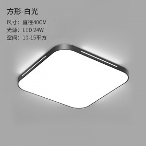 1003 square 40CM [monochrome white light]