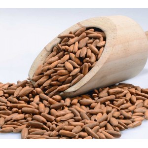 CHILGOZA | PINE NUTS (BANNU)