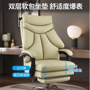 Home sofa chair, office chair, swivel chair