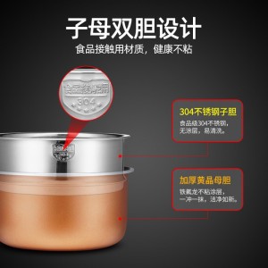 Rice Cooker Home 3L Appointment Timed Multifunctional Steamer Soup Cooker
